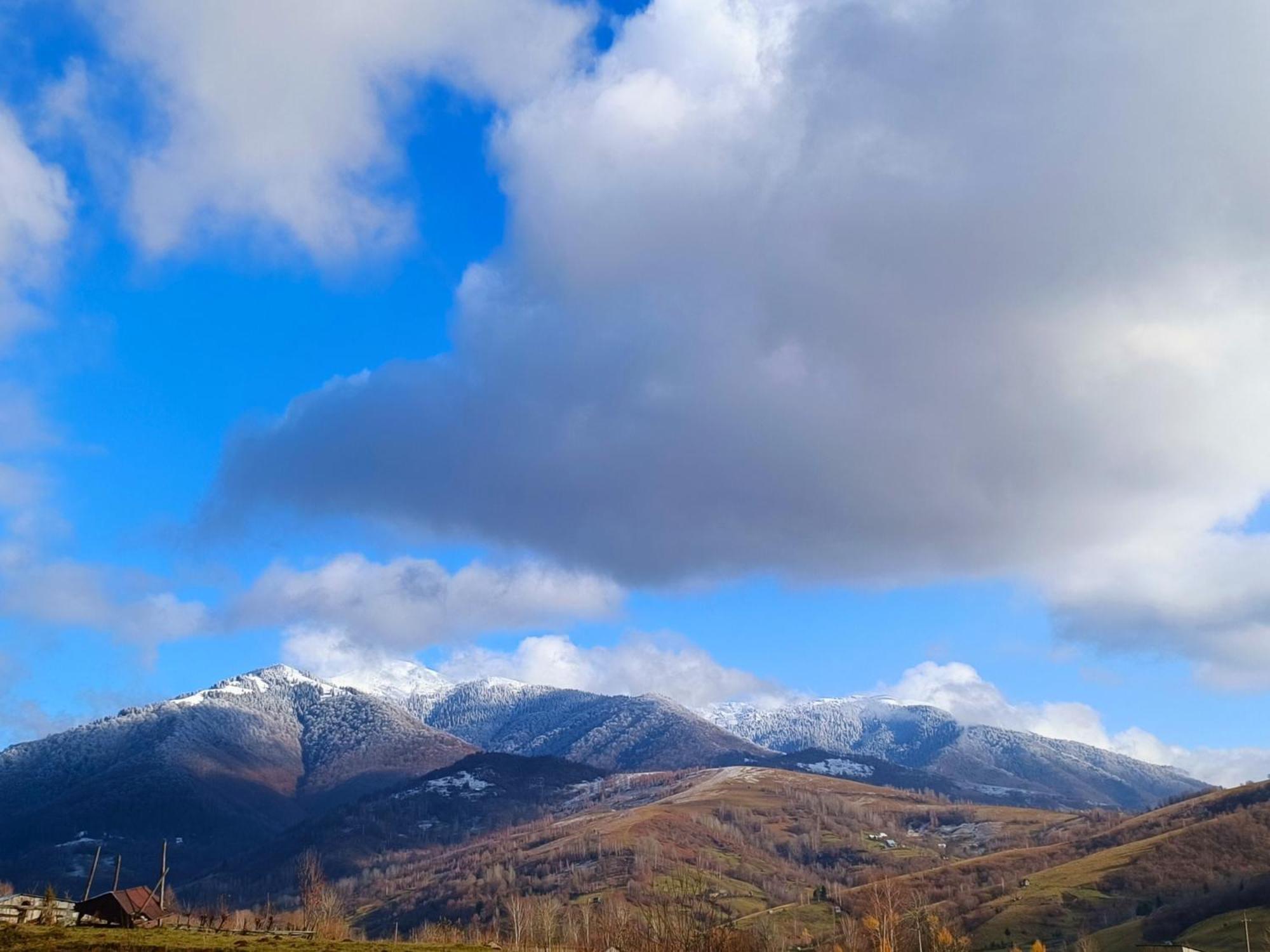 Kolochava Eco Resort Dış mekan fotoğraf